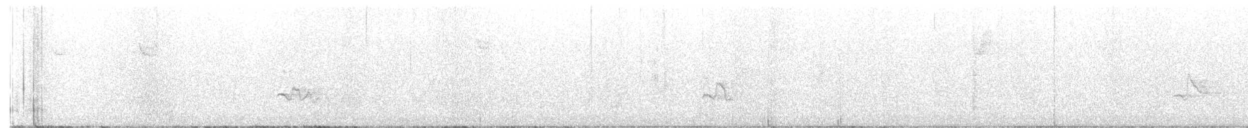 Purple Finch (Eastern) - ML626378728
