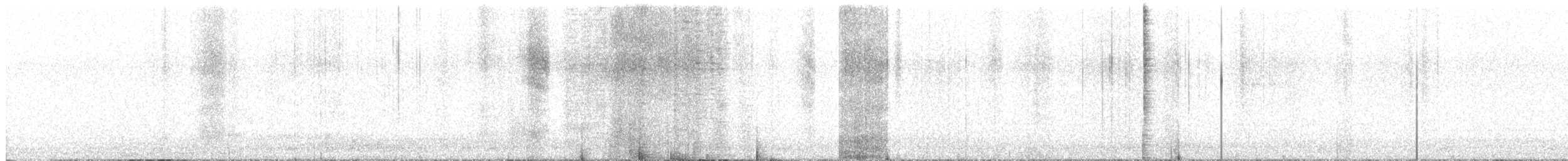 Western Screech-Owl - ML626403427