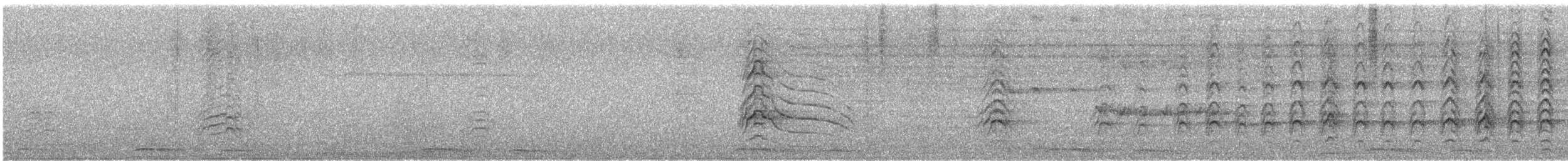 Roadside Hawk (Northern) - ML626405945