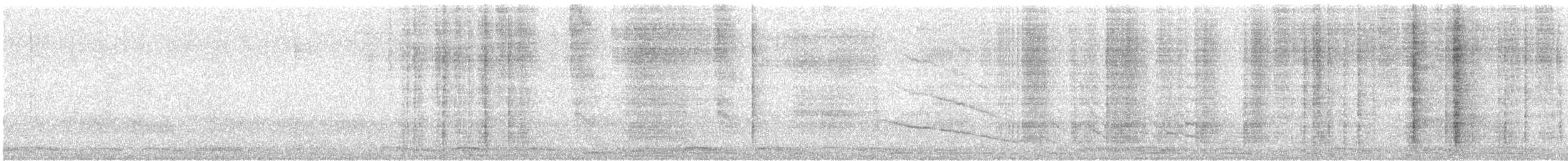 Great-tailed Grackle (Great-tailed) - ML626406401