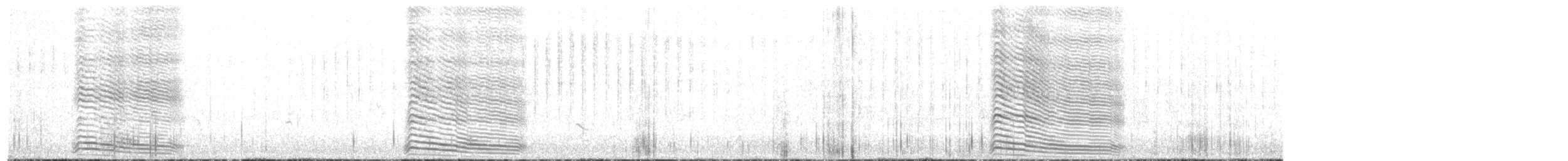 Gray Go-away-bird - ML626410453