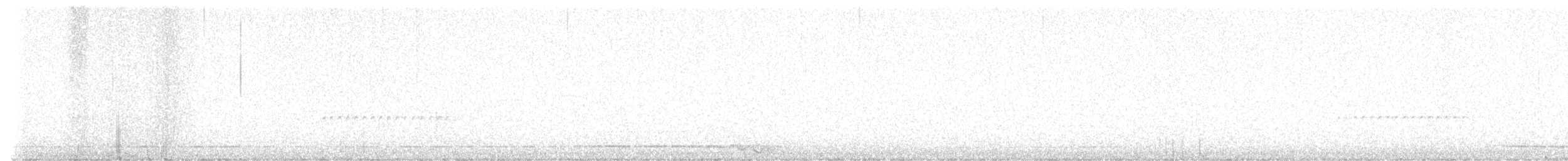 Eastern Screech-Owl - ML626410717