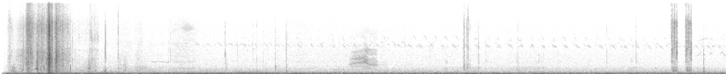 Caspian Tern - ML626413663