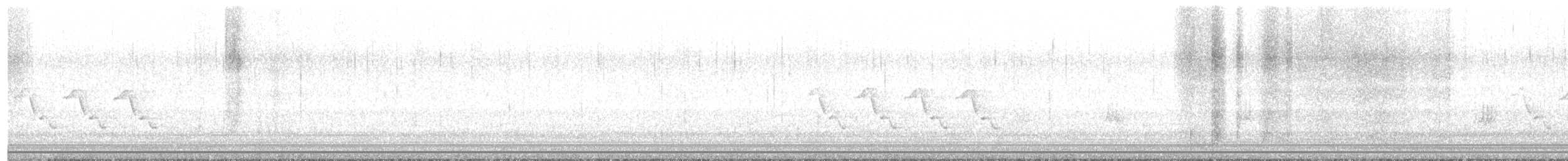 Carolina Wren - ML626423577