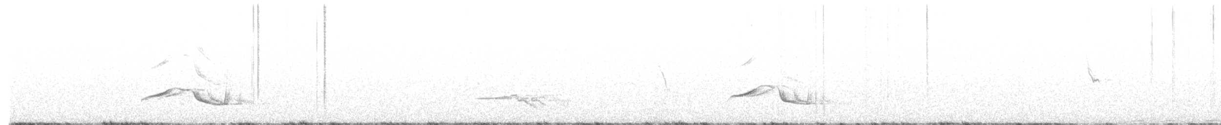 Tristram's Starling - ML626425071