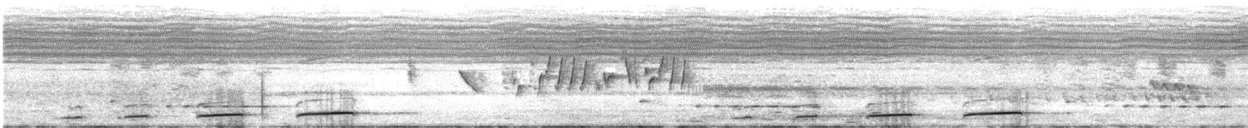 クロカッコウ（clamosus） - ML626426659