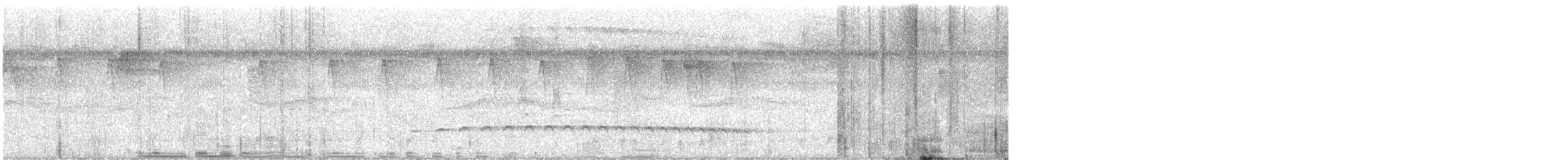 Batarito Coronipunteado - ML626430291