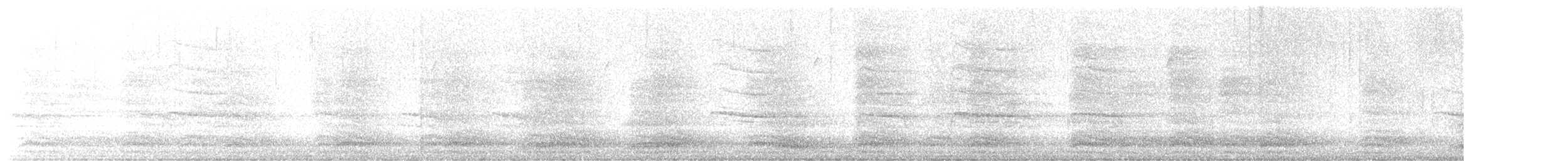 Cuervo Americano - ML626431250