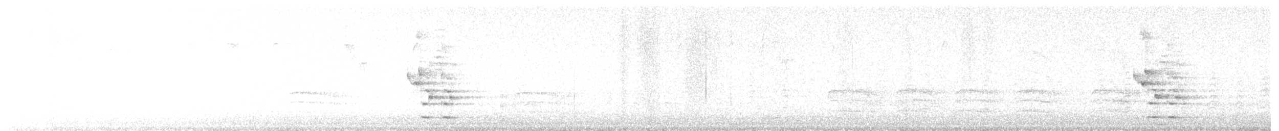 Chara Azul - ML626431477