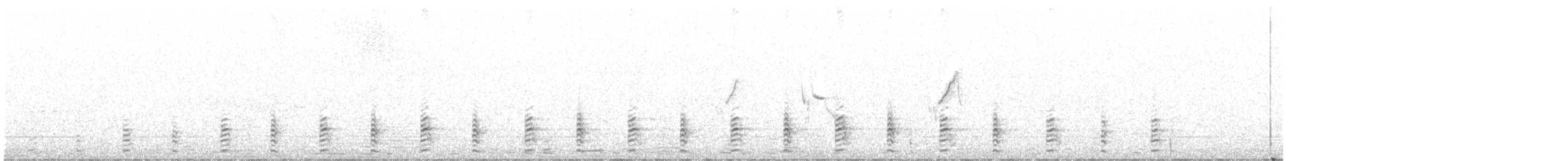 Magellanic Snipe - ML626431505