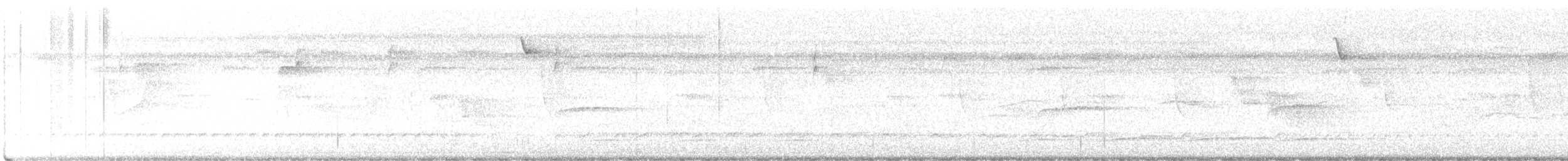 Tamatia à front blanc - ML626432019