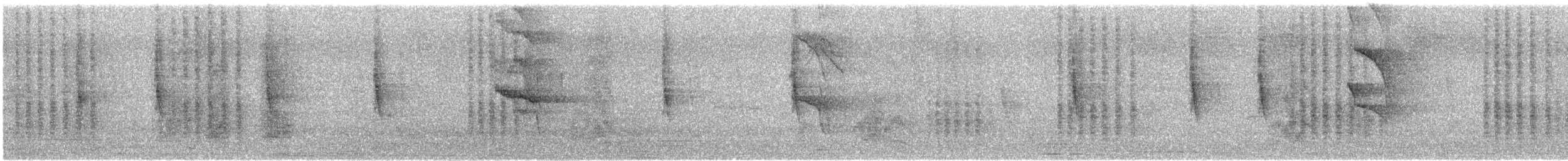 Baltimore Oriole - ML626439344