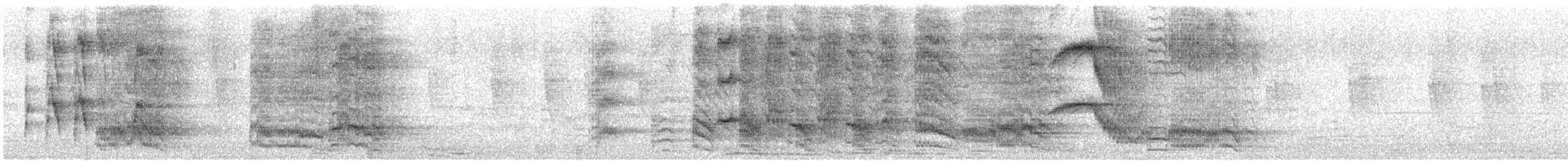 White-fronted Amazon - ML626439374