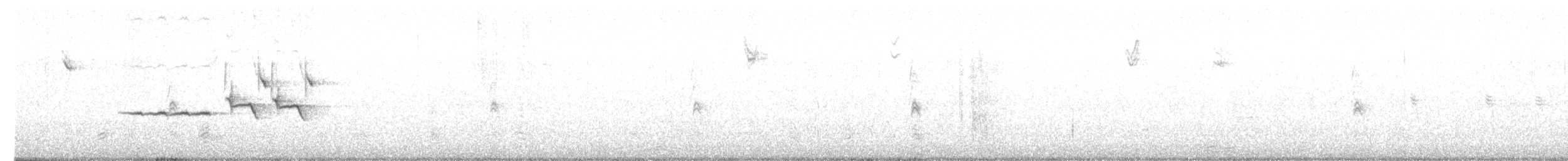 White-crowned Sparrow - ML626445975