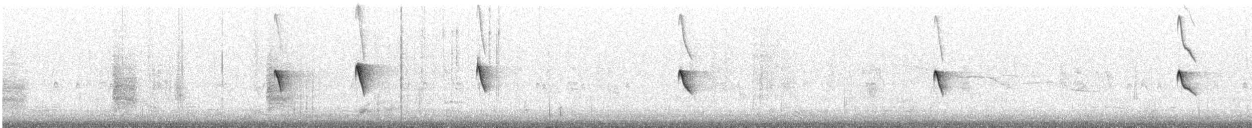 Black Phoebe (Northern) - ML626447683