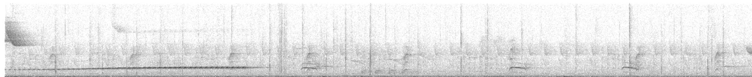 Rufous-tailed Antthrush - ML626463958