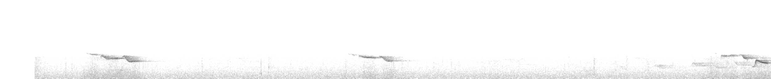 White-breasted Wood-Wren - ML626468307