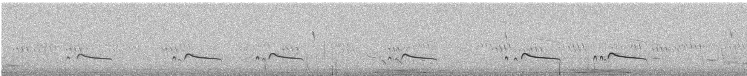 Say's Phoebe - ML626468357