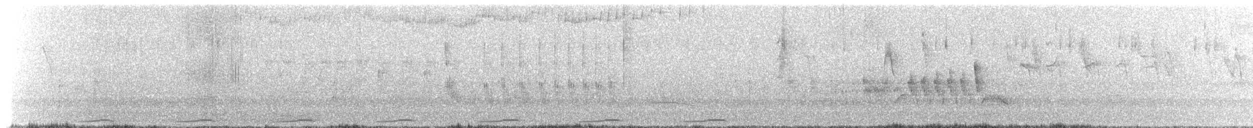 holoubek pikui - ML626474624