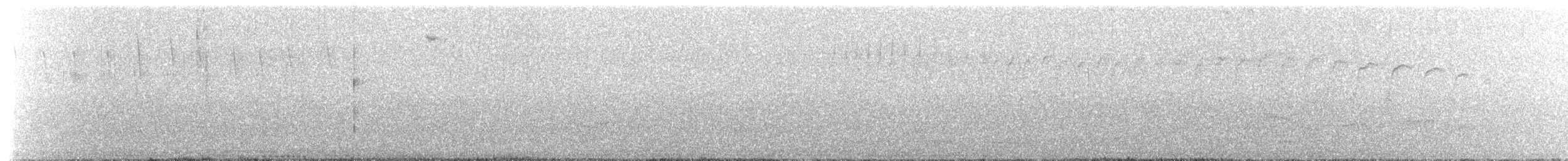 Brillendunkeltyrann - ML626474699