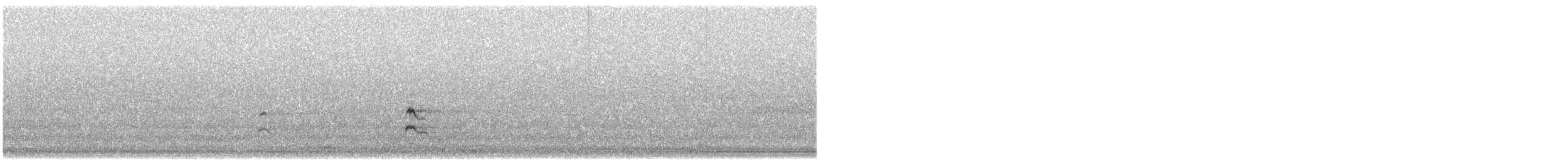 Eurasian Coot - ML626474820