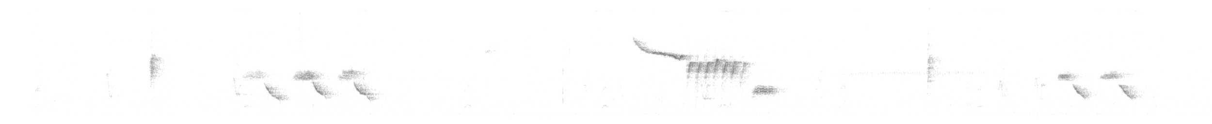 Bewick's Wren - ML626480160