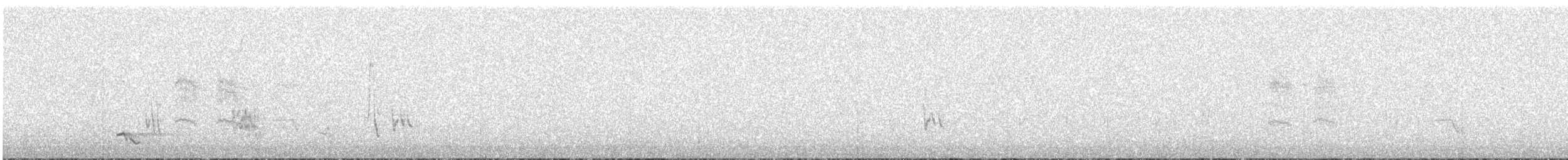 Bourke's Parrot - ML626482755