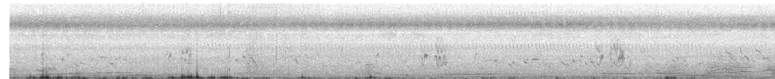 Cochevis de Malabar - ML626483732