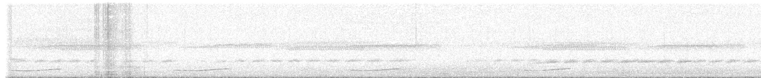 Pacific Koel - ML626485409