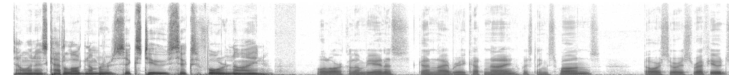 Cygne siffleur (columbianus) - ML62649
