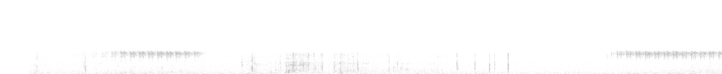 Scalloped Antbird - ML626491788