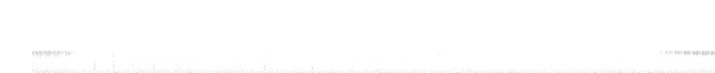 Scalloped Antbird - ML626491789