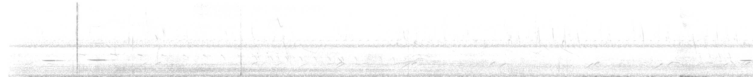 Çizgili Guguk - ML626493866