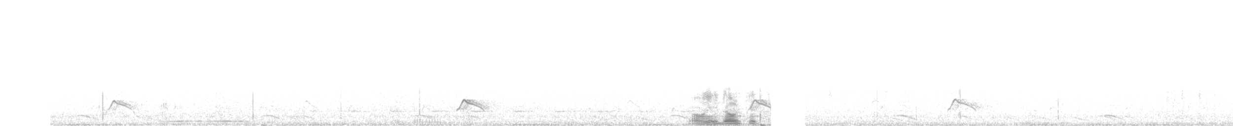 Pygmy Nightjar - ML626495209