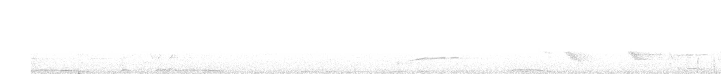 Red-billed Pigeon - ML626495268
