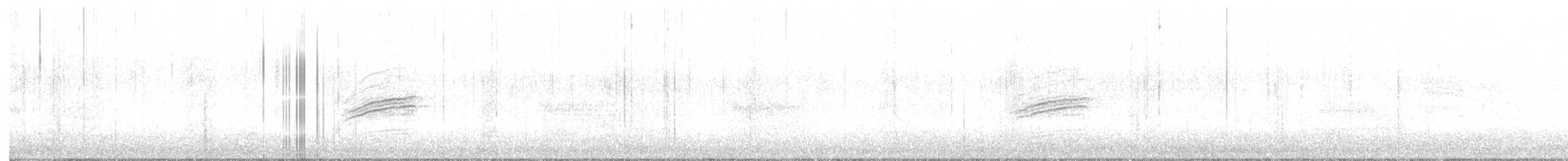 Hermit Thrush - ML626495359