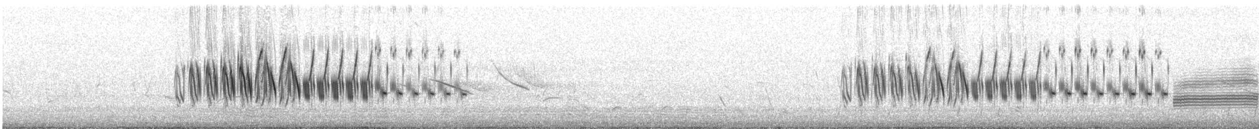 Ochre-breasted Pipit - ML626496060