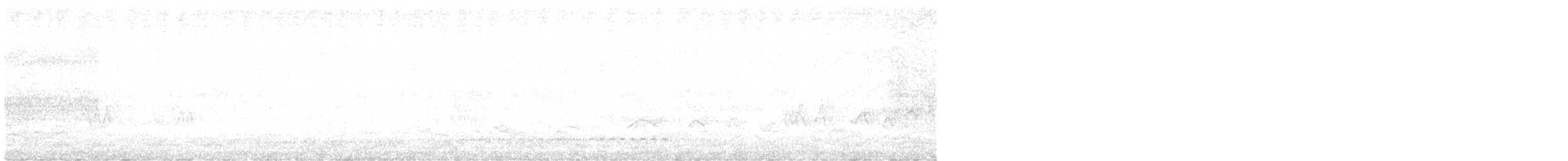 Rufous-tailed Antthrush - ML626498016