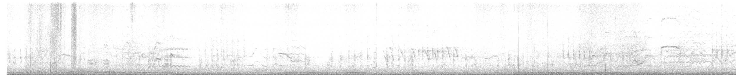 Большехвостый гракл - ML626498646