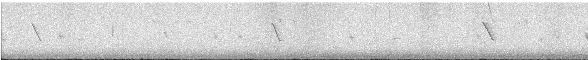 sivspurv - ML626499928