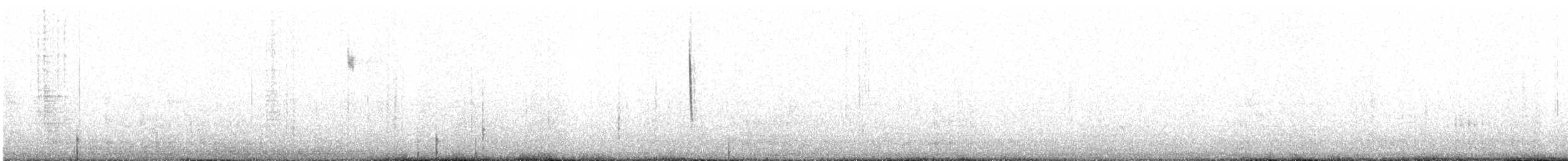 Pine Warbler - ML626500818