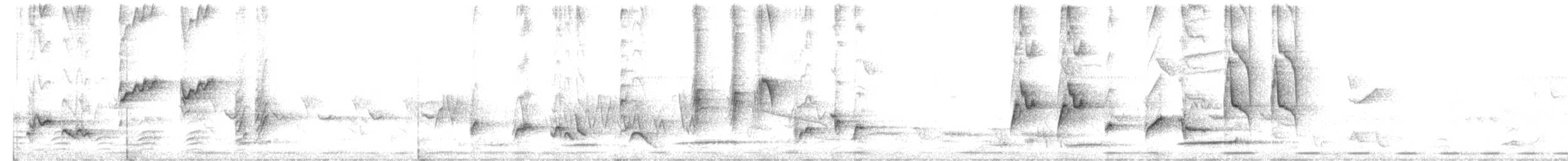 Cosifa Gorjiblanca - ML626501690