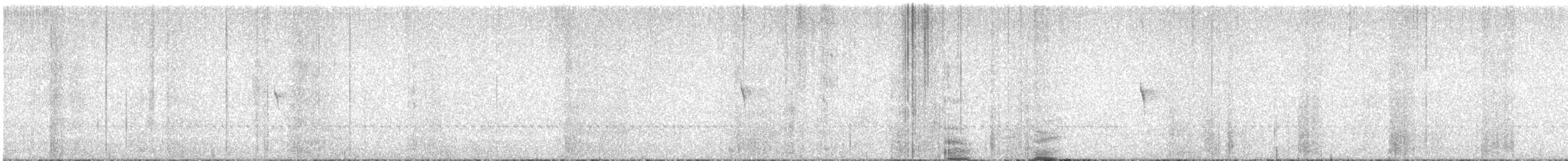 Moucherolle phébi - ML626503607