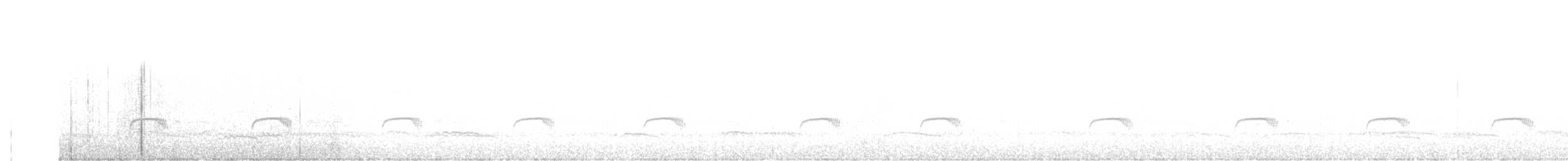 Tschudi's Nightjar - ML626503778