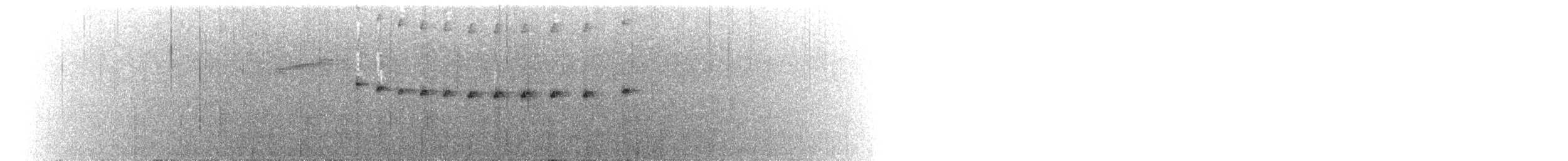 Barred Becard - ML626505886