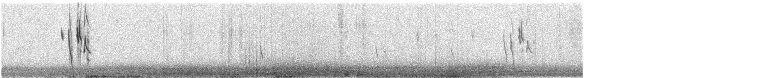 Giant Conebill - ML626508656