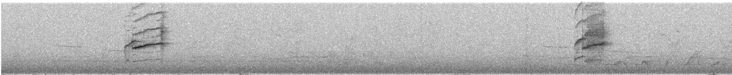 Tyranneau à sourcils blancs - ML626509087