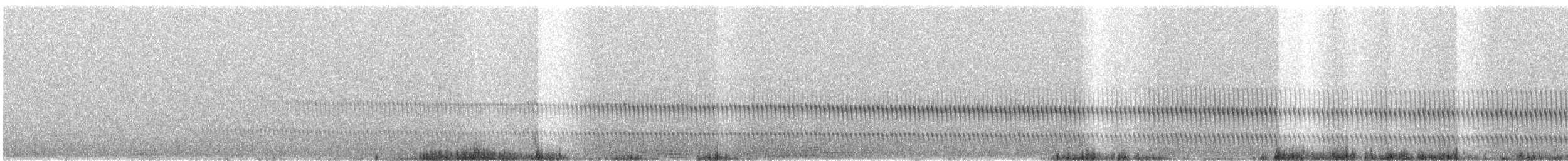 Loja Tapaculo - ML626509298