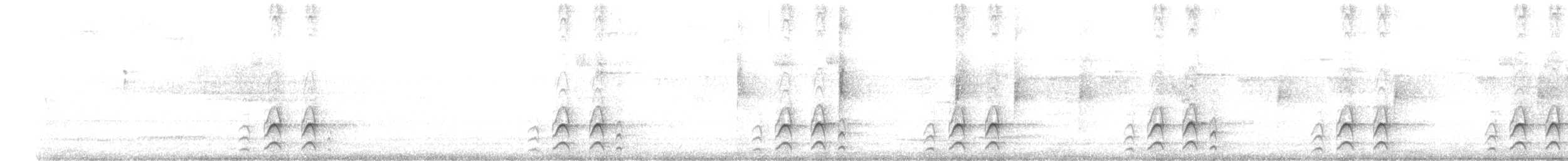 Caracas Tapaculo - ML626510241