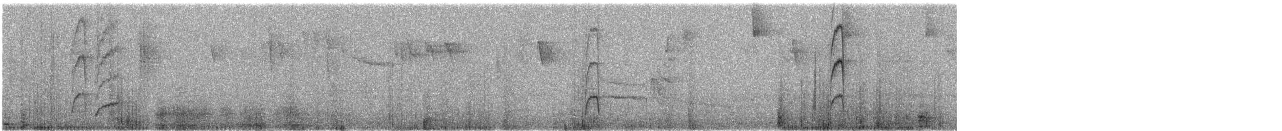 Violet-tailed Sylph - ML626510302